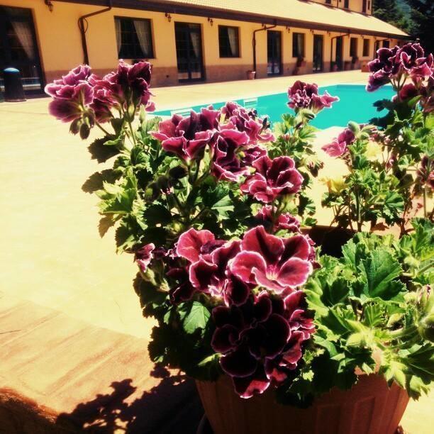 Del Riccio Hotel Martirano 外观 照片